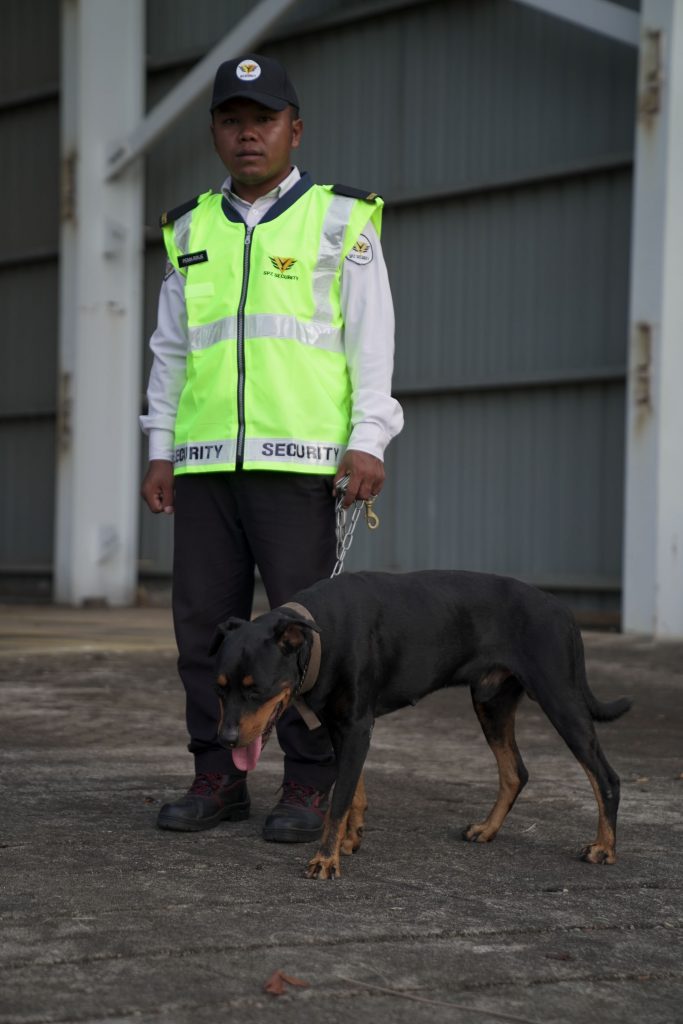 k9 unit spz 2